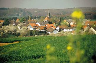 Rodenbach